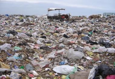 [basurero[3].jpg]