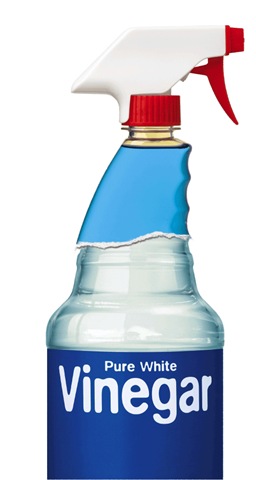 [VinegarCleaner[7].jpg]