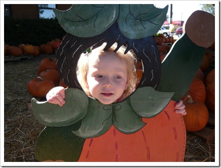 PumpkinPatch3 PumpkinPatch3