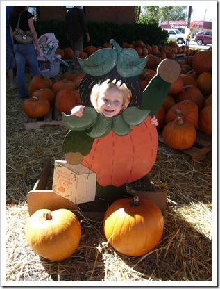 PumpkinPatch4 PumpkinPatch4