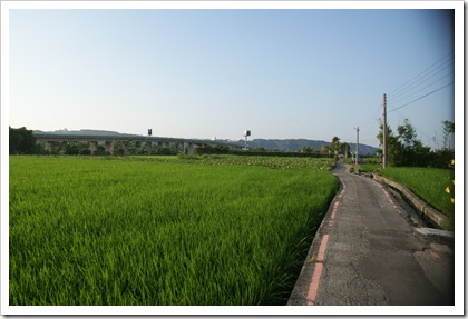DSC04461