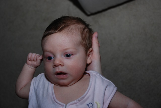 [DSC_0014[13].jpg]