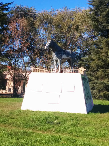 Monumento Al Caballo Criollo