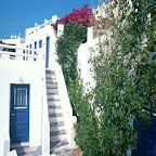 Madalena