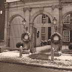 Dylan