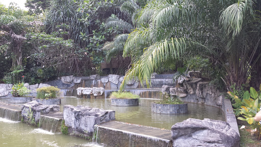 Toa Payoh Park Mini Waterfall
