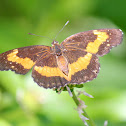 Bordered Patch