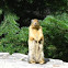 Columbian Ground Squirrel