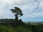 IMG_1831b.jpg