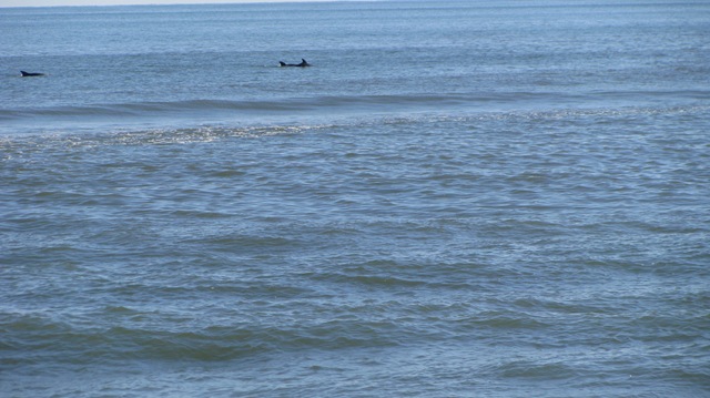 [hatteras 2008 buxton 037[7].jpg]