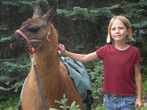 Heres Bella petting a llama on a hike in the Sangre de Cristo Mountains outside of Santa Fe, NM. We hope to take many hikes in Peru. Maybe we can have some llamas carry our gear.