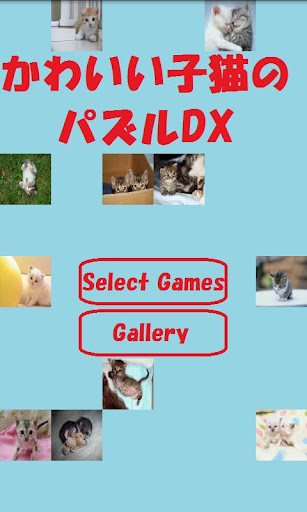 【免費解謎App】Cute kitten PuzzleDX-APP點子