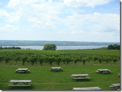 Wagner winery view by the seneca lake