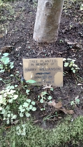Harry Williamson Memorial Tree