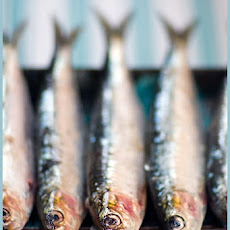 Sardines on the Gril
