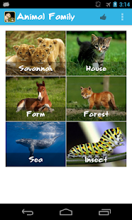 How to install Animal Family 2.0 unlimited apk for laptop