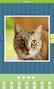 How to install Fotomania lastet apk for android