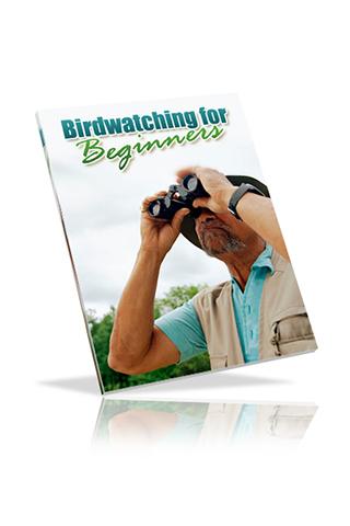 Bird Watching for Beginners