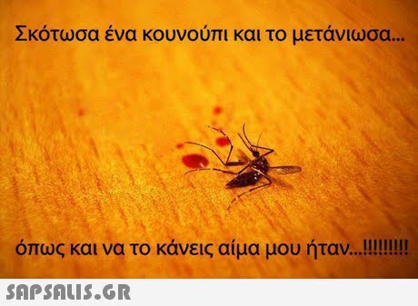 Σκότωσα ένα κουνούπι και το μετάνιωσα όπως και να το κάνεις αίμα μου ήταν lllllllll 