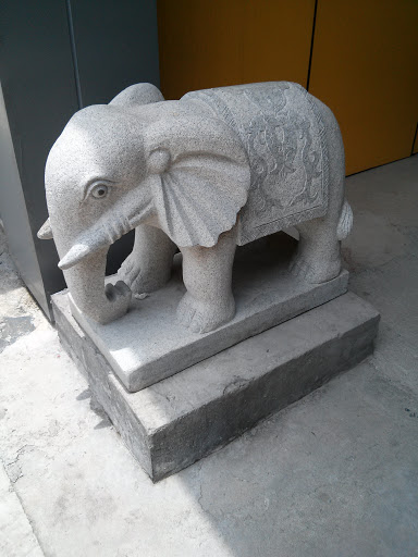 1850左小象