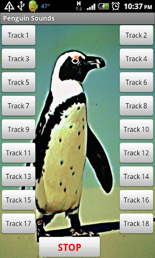 免費下載娛樂APP|Penguins Sound Effects app開箱文|APP開箱王