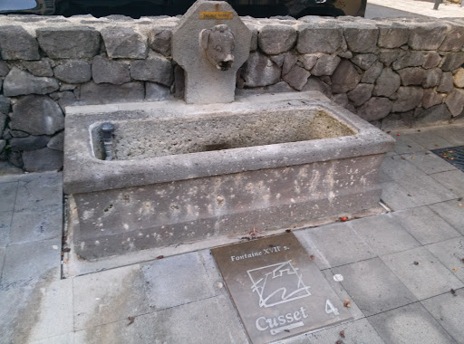Fontaine À Tête De Chien