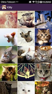 How to install Moe Wallpaper - Kitty & Doggy 1.0.0 unlimited apk for bluestacks