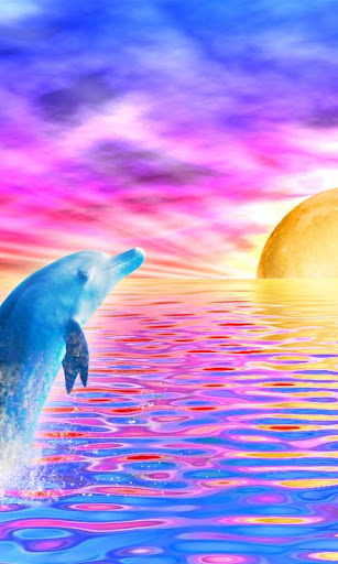 Rainbow Dolphin Live Wallpaper