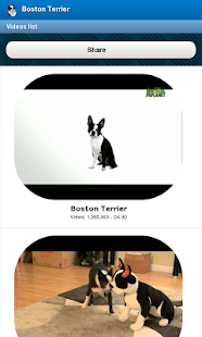 How to get Boston Terrier 1.20 apk for laptop