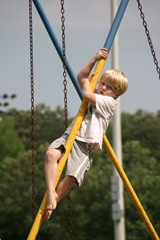 Sam the monkey