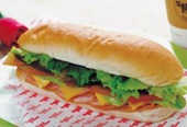 2006-6-22-060623-sub-sandwich