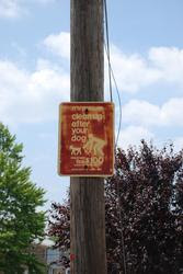 new_york_081.jpg