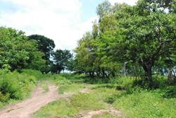 laguna_de_apoyo_003.jpg