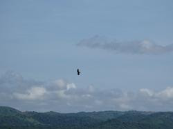 IMG_1167.JPG