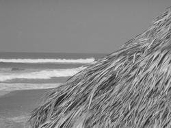 IMG_1229.JPG