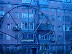 Firs view from apartment bedroom