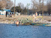 swimmers in thw south lake