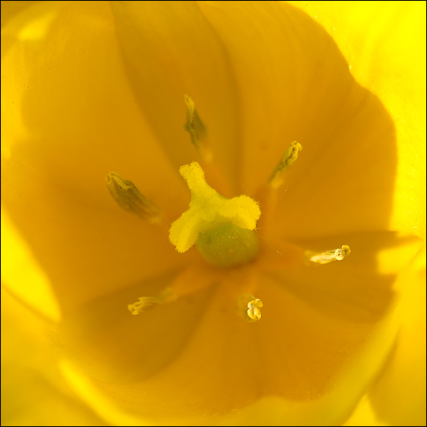 080512-037-w.jpg