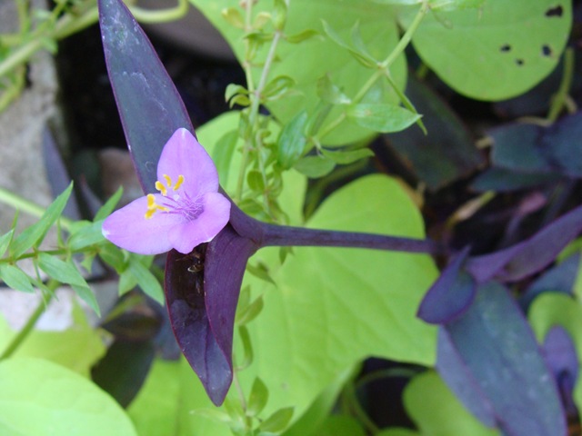 [DSC027742.jpg]