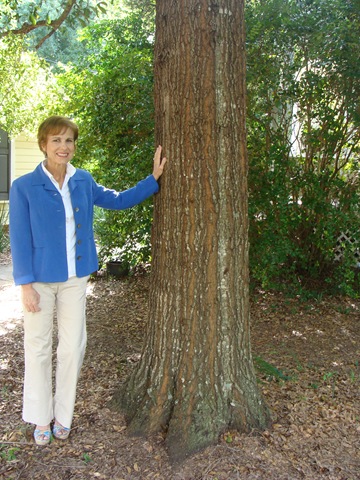 [DSC028953.jpg]