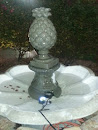 Pineapple Fountain 