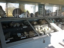 Museu Das Pedras