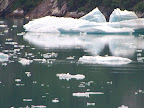 Tracy Arm Fiorde on the way to the glacier