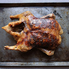 Slow Roast Duck