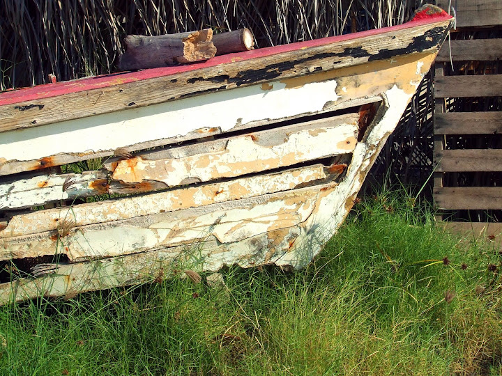 boatongrass