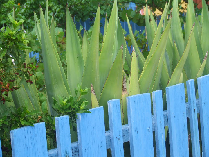 bluefence