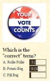 [Rollie Pollie Poll Results[6].jpg]