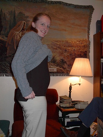 [Dec 02 Diahan pregnant[3].jpg]