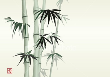 [ist2_1885852-bamboo[7].jpg]