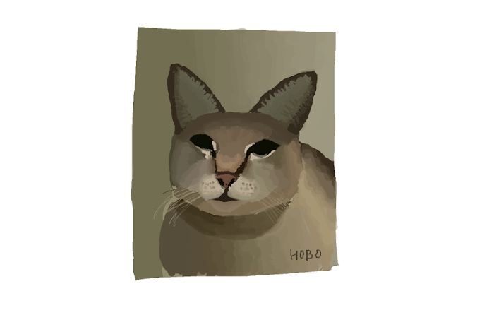 Koda